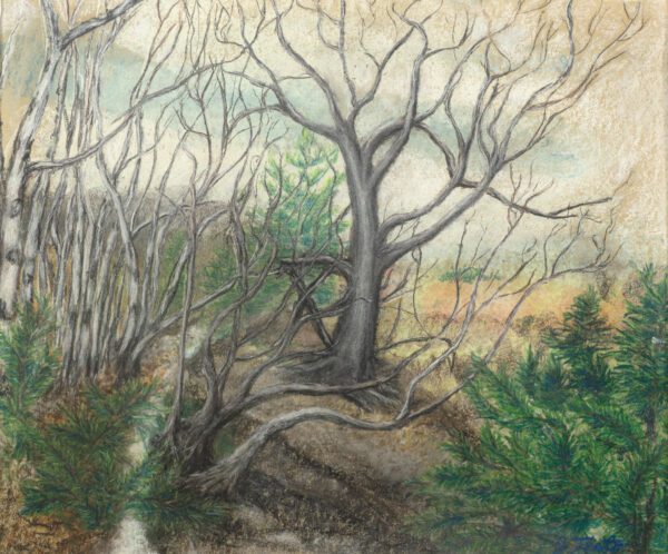 A painting of trees and bushes in the woods.